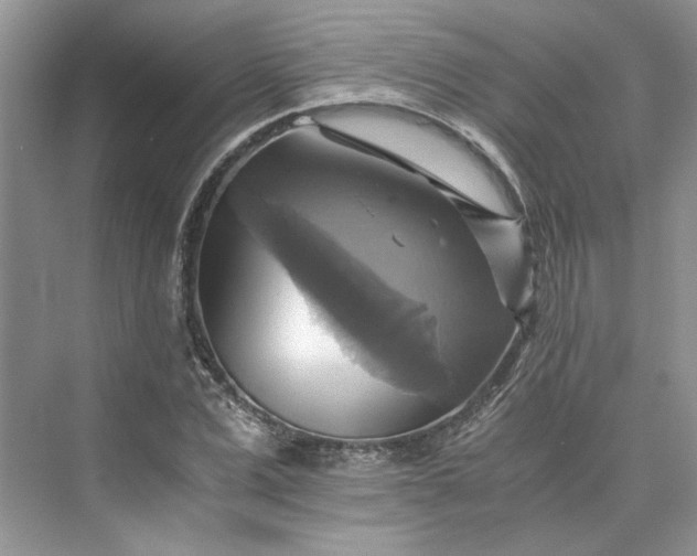 X0000075860975200609291543