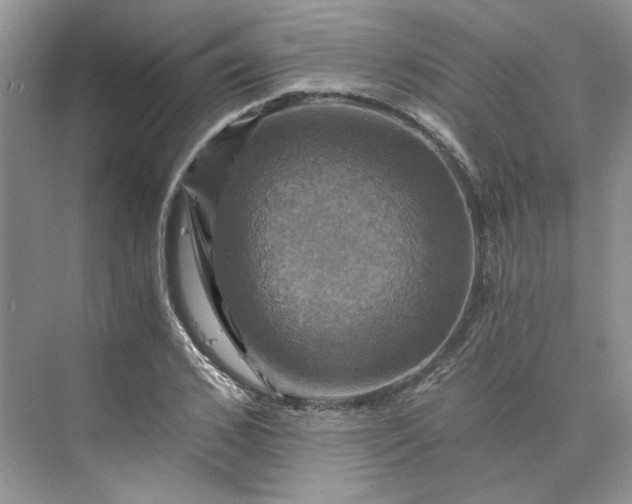 X0000075860976200609291543