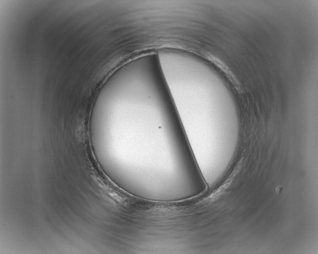 X0000075860977200609291543