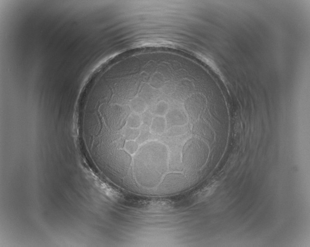 X0000075860979200609291543