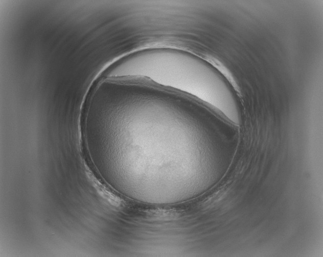 X0000075860980200609291543