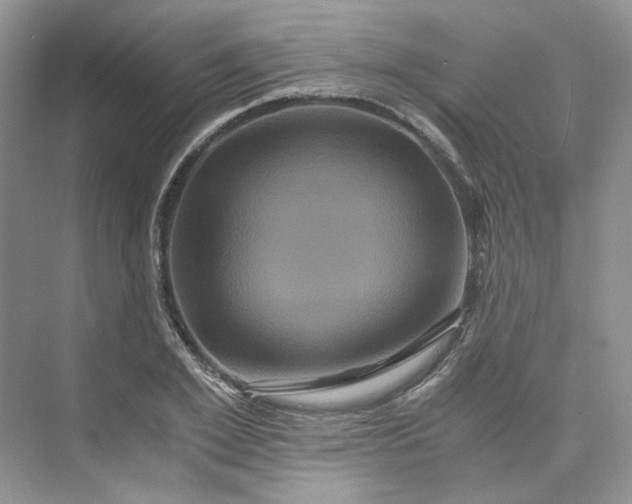 X0000075860981200609291543