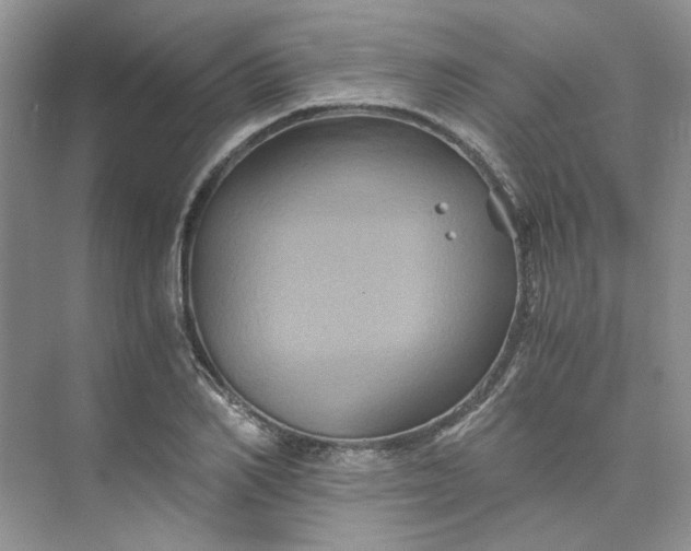 X0000075860982200609291543