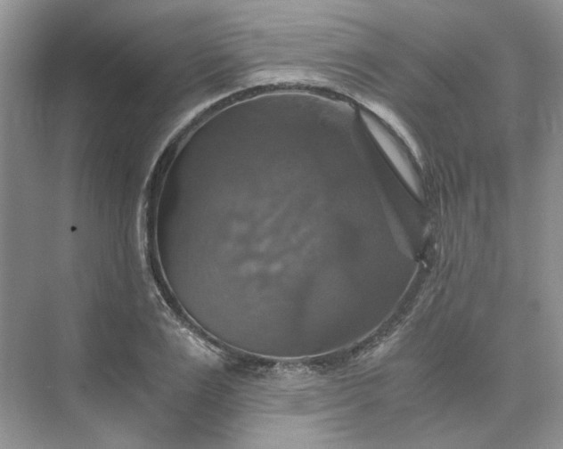 X0000075860983200609291543