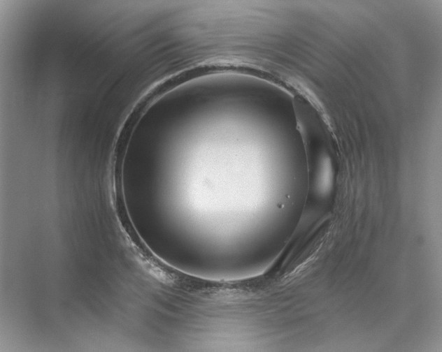 X0000075860984200609291543