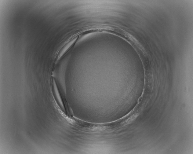 X0000075860985200609291543