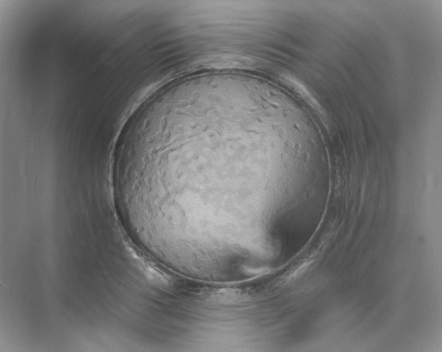 X0000075860986200609291543