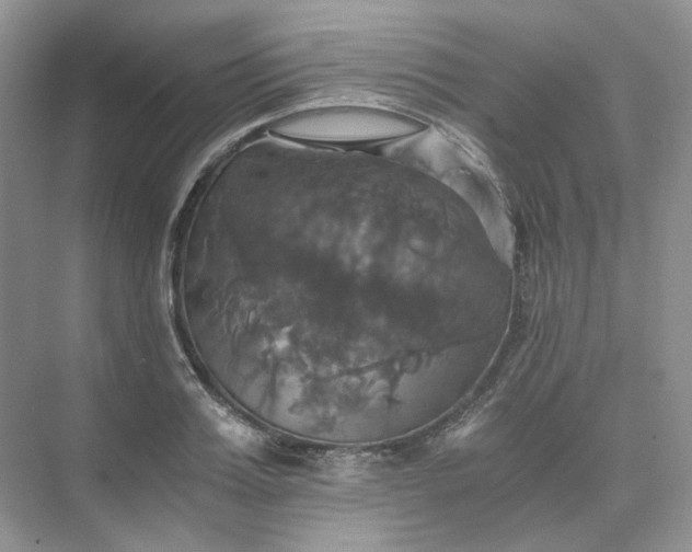 X0000075860987200609291543