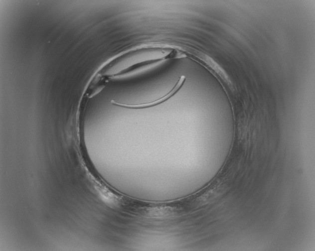 X0000075860988200609291543