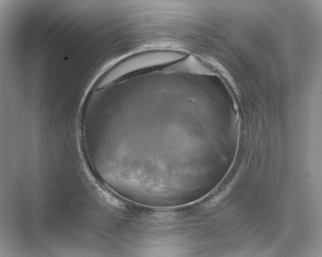 X0000075860989200609291543