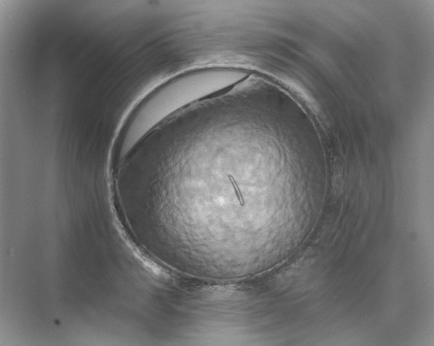 X0000075860990200609291543