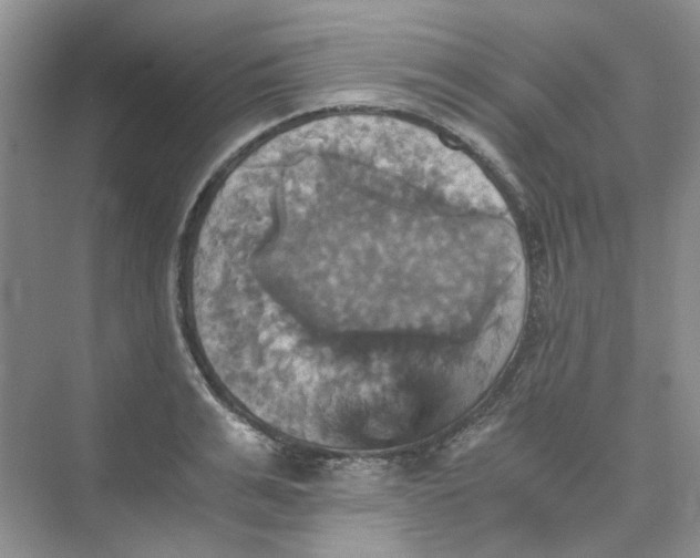 X0000075860991200609291543