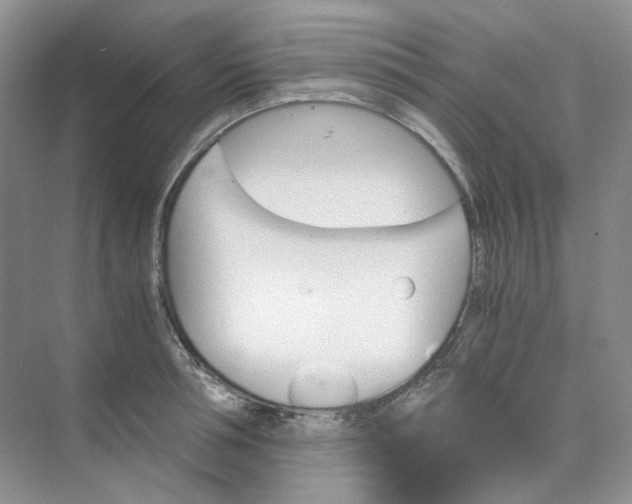 X0000075860994200609291543