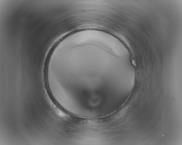 X0000075860995200609291543