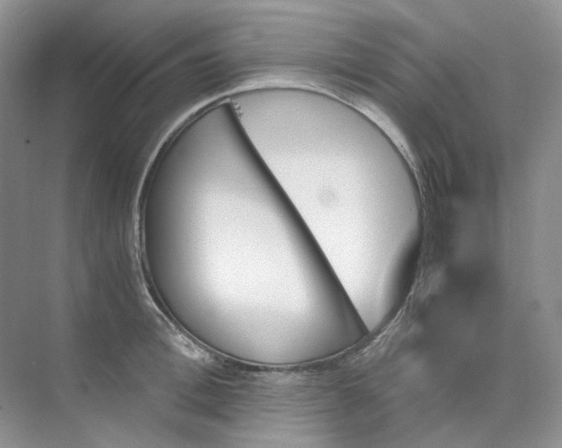 X0000075860996200609291543