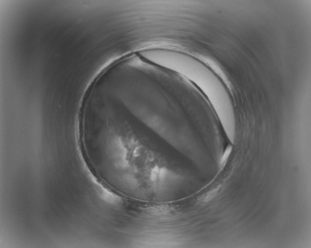 X0000075860999200609291543