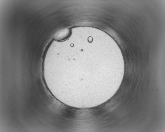 X0000075861000200609291543