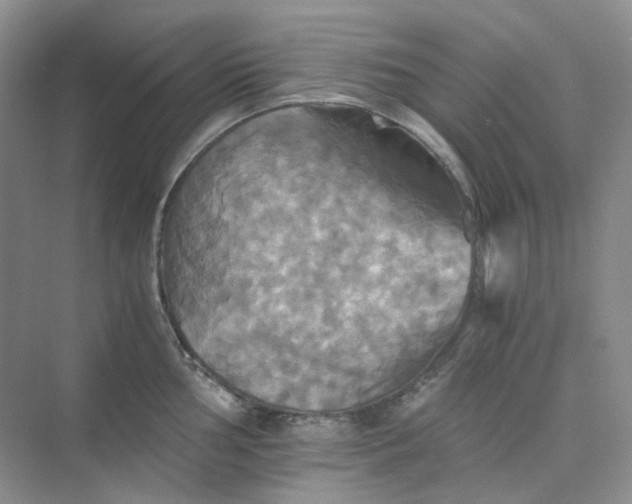 X0000075861002200609291543