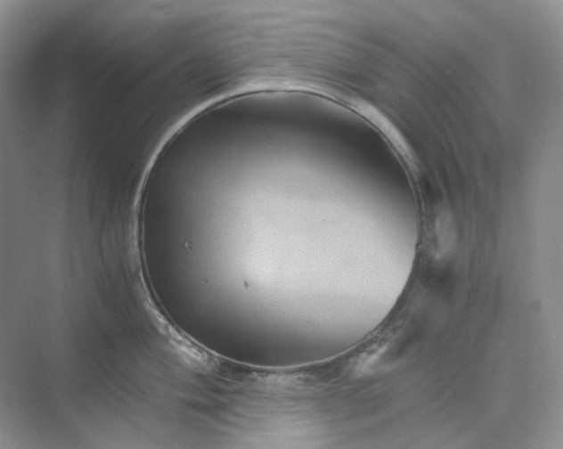 X0000075861004200609291543