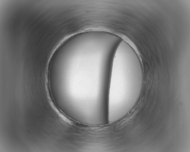 X0000075861005200609291543