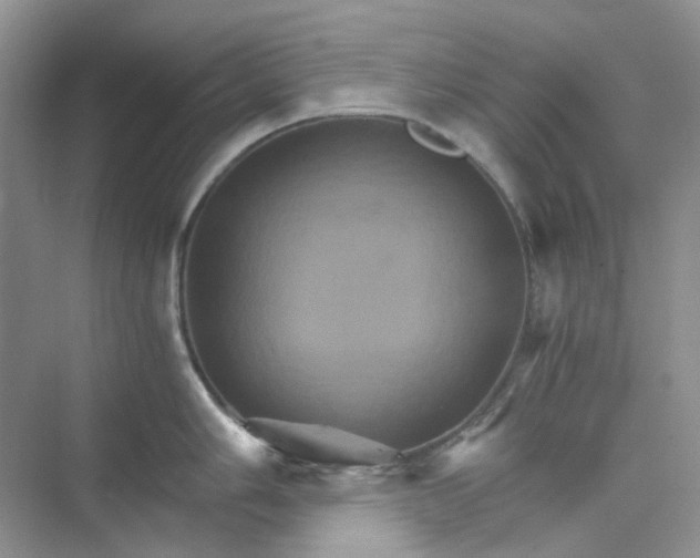 X0000075861006200609291543