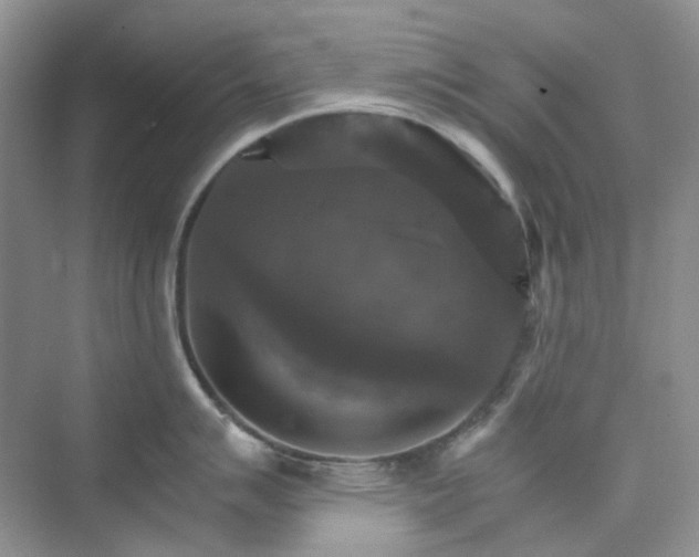 X0000075861007200609291543