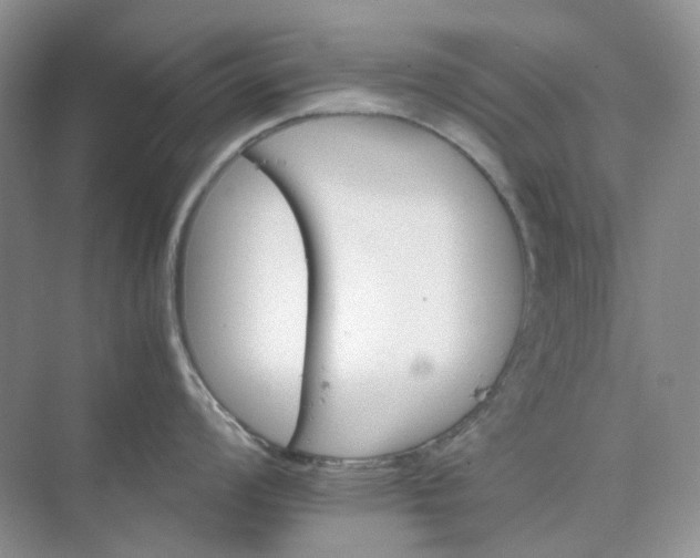 X0000075861008200609291543