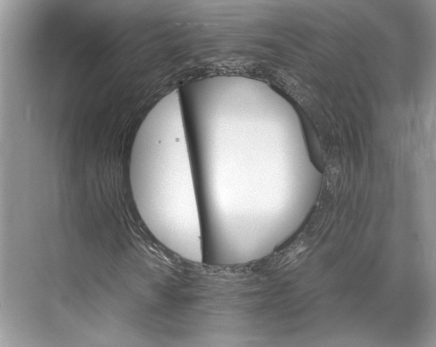 X0000075861010200609291542