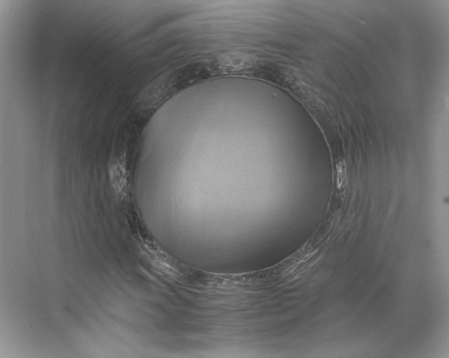 X0000075861011200609291542