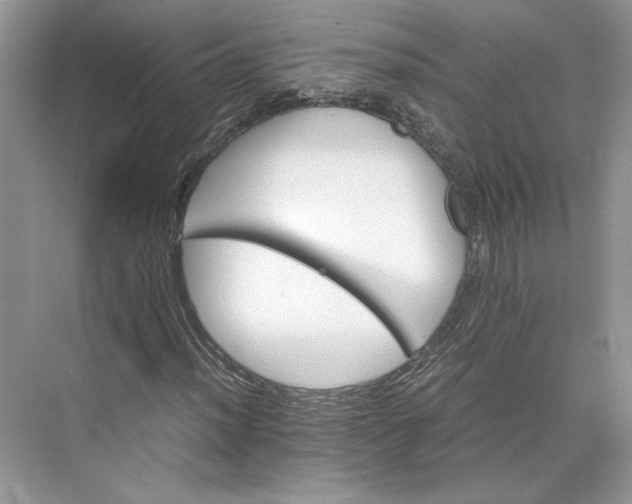 X0000075861012200609291542