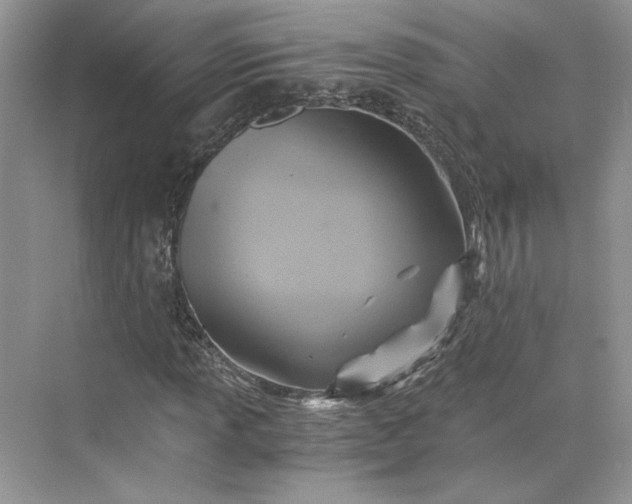 X0000075861013200609291542