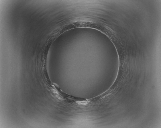 X0000075861014200609291542