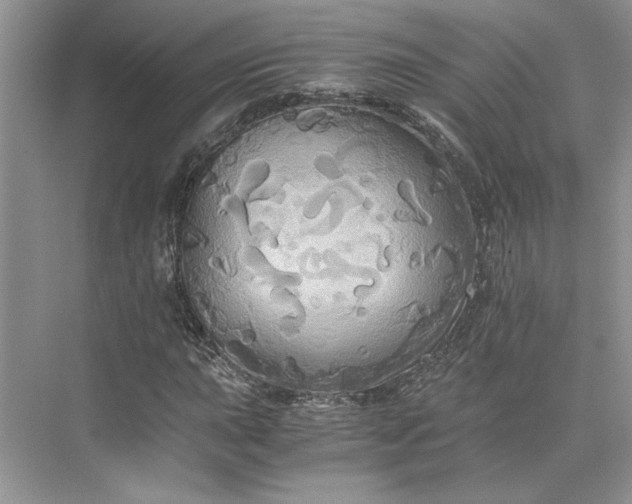 X0000075861015200609291542