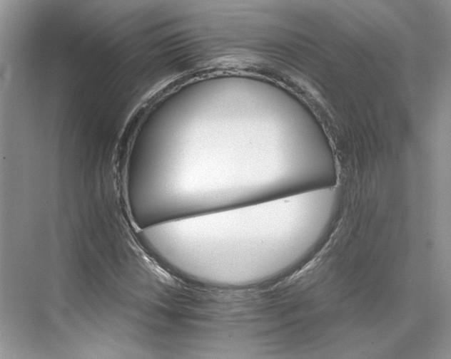 X0000075861018200609291542