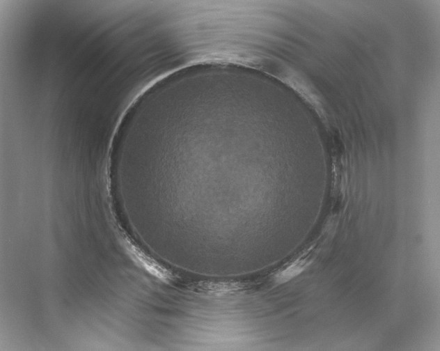 X0000075861020200609291542