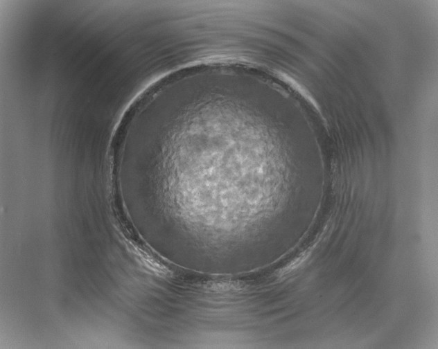 X0000075861021200609291542