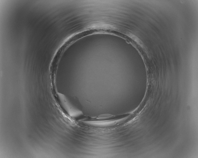 X0000075861022200609291542