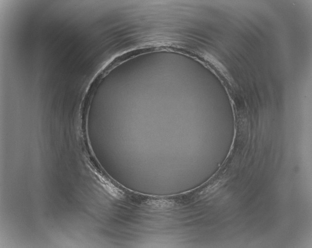 X0000075861023200609291542