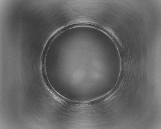 X0000075861024200609291542