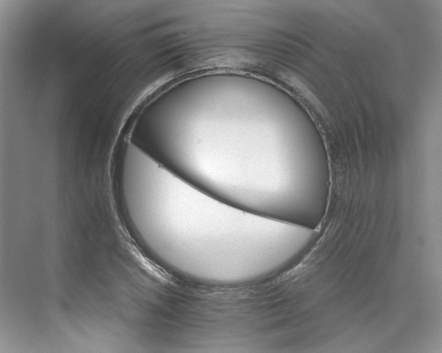 X0000075861026200609291542