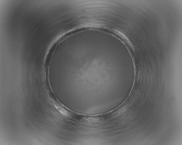 X0000075861027200609291542