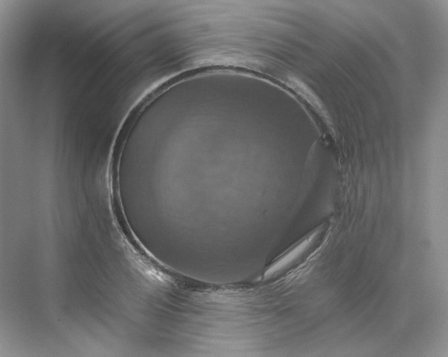 X0000075861028200609291542