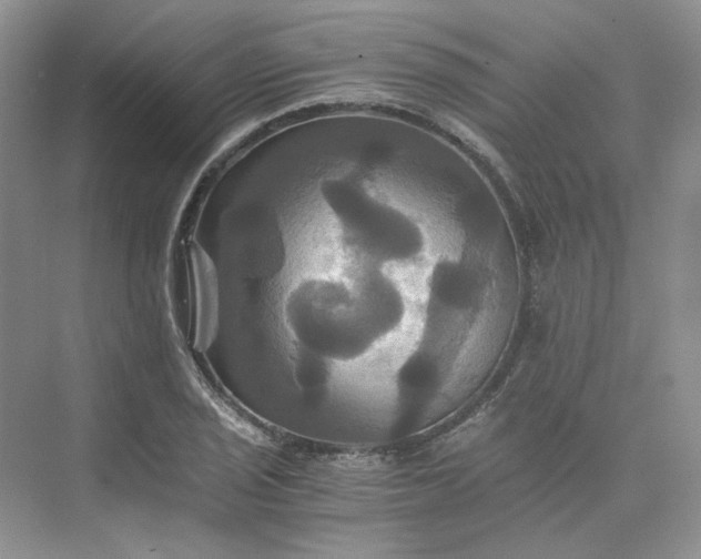 X0000075861029200609291542