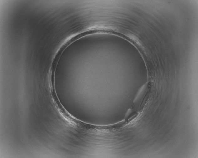 X0000075861030200609291542