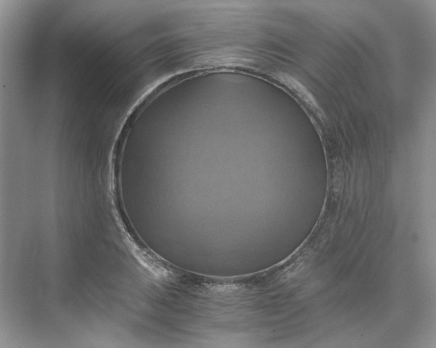 X0000075861031200609291542