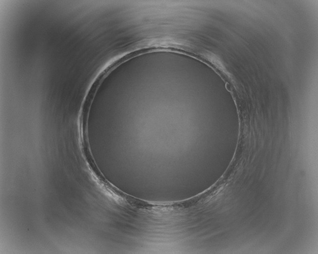 X0000075861032200609291542