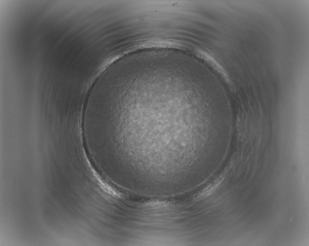 X0000075861033200609291542