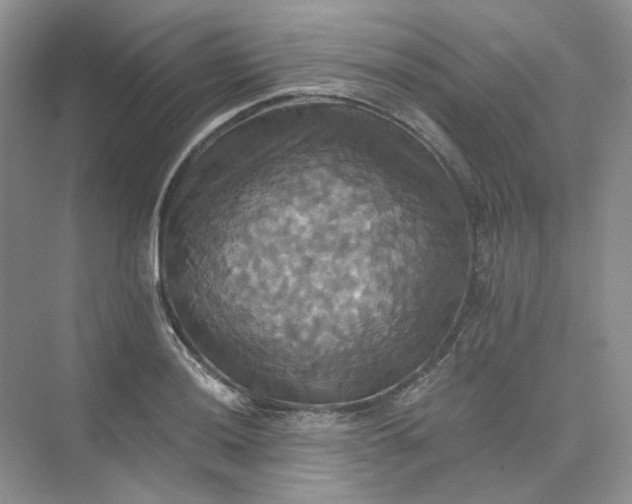 X0000075861036200609291543