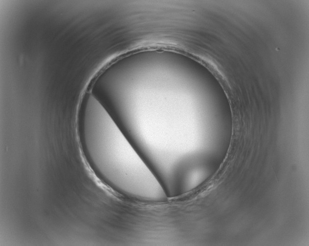 X0000075861038200609291543