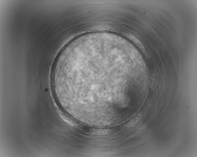 X0000075861039200609291543